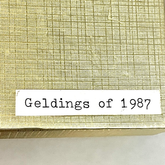 Broken Horn Gemstone Championship Buckle - Picture 8 of 9